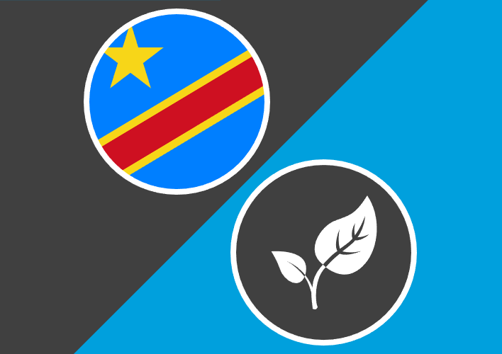 Democratic Republic of Congo Long-Term Response Project