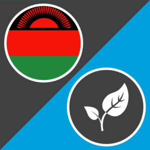 Malawi Long-Term Response Project