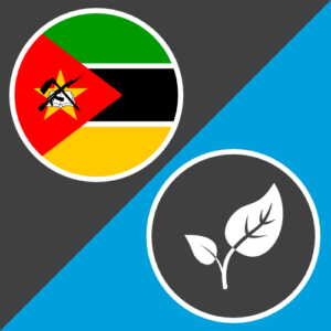 Mozambique Long-Term Response Project