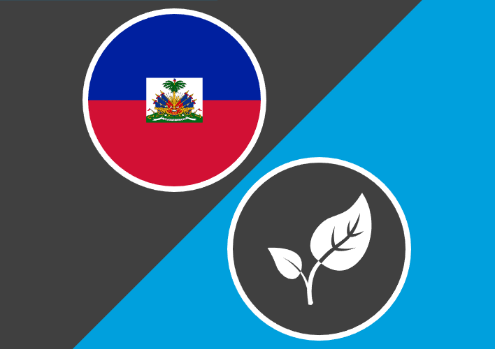 Haiti Long-Term Response Project