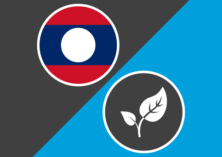 Laos Long-Term Response Project
