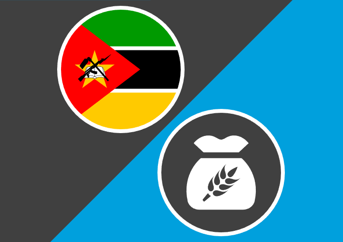 Mozambique Emergency Food Assistance Project