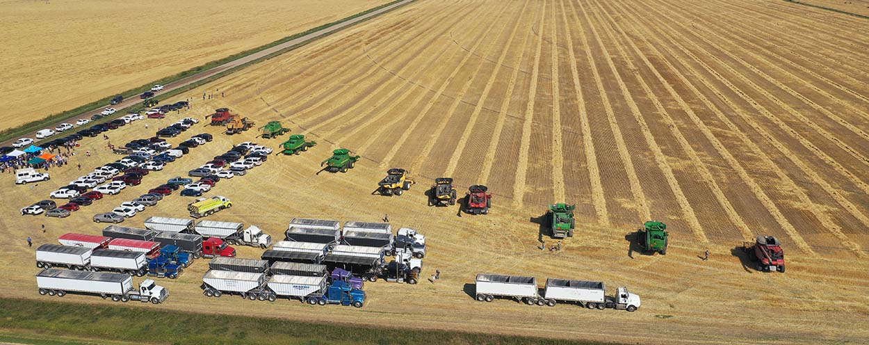 Combines and trucks on a field