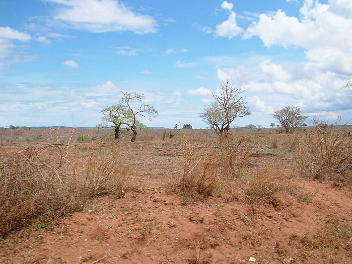 Drought caused by climate change