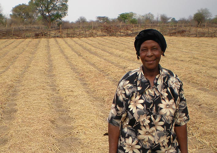 Conservation Agriculture field in Nkayi, Zimbabwe