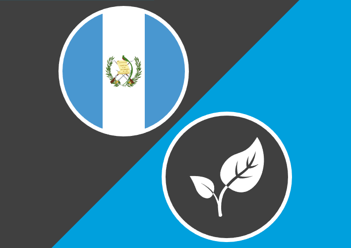 Guatemala Long-Term Response Project