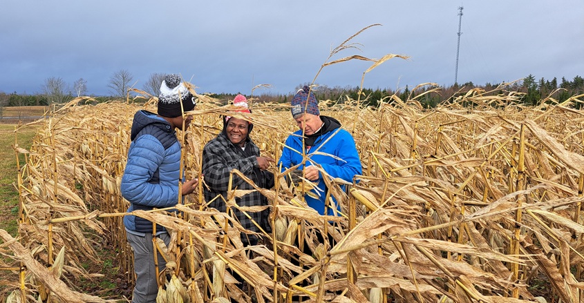 Farai and Rosaline standing in a corn field.