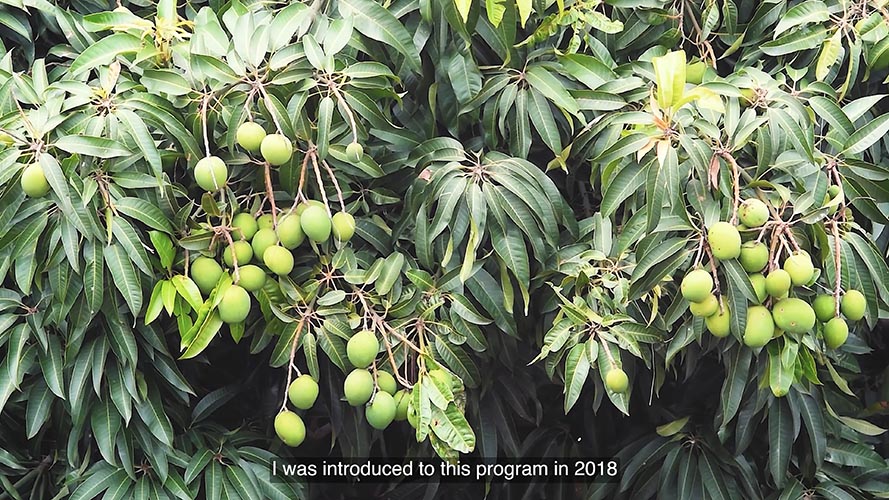 A Legacy Taking Root