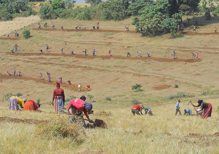 Digging bunds for soil and water conservation. (Photo: FH Ethiopia)