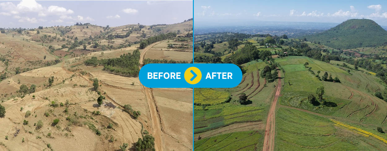 Nature+ before and after